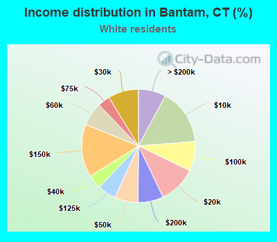 Income distribution in Bantam, CT (%)