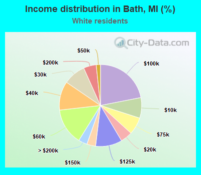 Income distribution in Bath, MI (%)