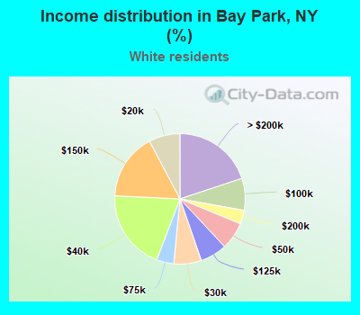 Income distribution in Bay Park, NY (%)
