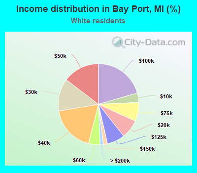 Income distribution in Bay Port, MI (%)