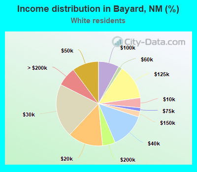 Income distribution in Bayard, NM (%)