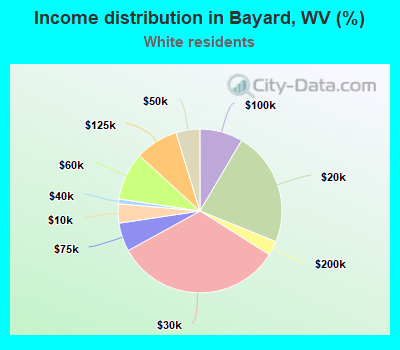 Income distribution in Bayard, WV (%)