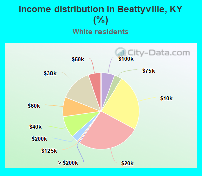 Income distribution in Beattyville, KY (%)