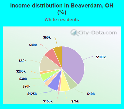 Income distribution in Beaverdam, OH (%)