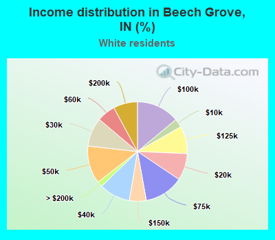 Income distribution in Beech Grove, IN (%)