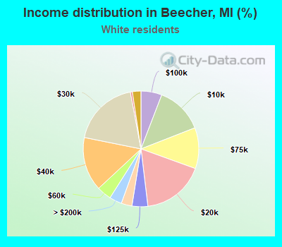 Income distribution in Beecher, MI (%)