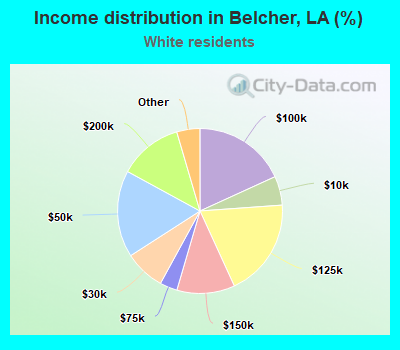 Income distribution in Belcher, LA (%)