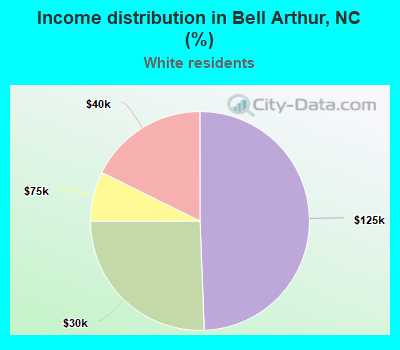 Income distribution in Bell Arthur, NC (%)