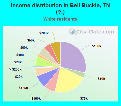 Income distribution in Bell Buckle, TN (%)