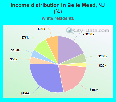 Income distribution in Belle Mead, NJ (%)
