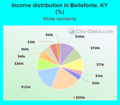 Income distribution in Bellefonte, KY (%)