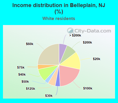 Income distribution in Belleplain, NJ (%)