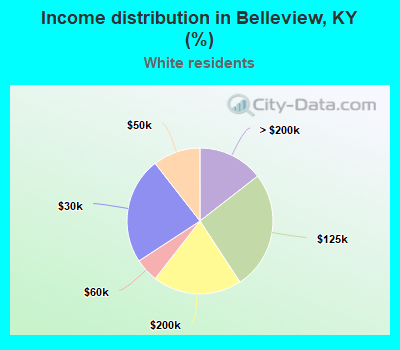 Income distribution in Belleview, KY (%)