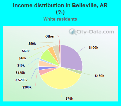 Income distribution in Belleville, AR (%)