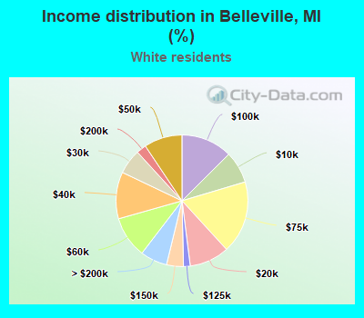 Income distribution in Belleville, MI (%)