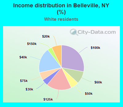 Income distribution in Belleville, NY (%)