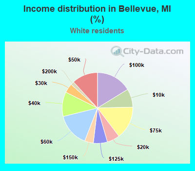 Income distribution in Bellevue, MI (%)