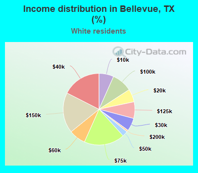 Income distribution in Bellevue, TX (%)