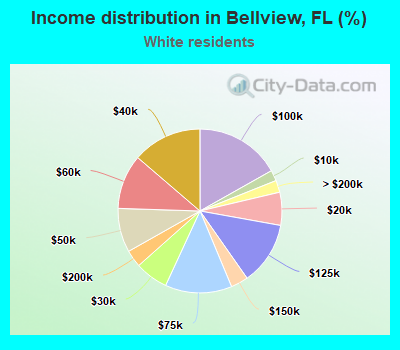 Income distribution in Bellview, FL (%)