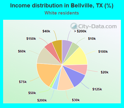 Income distribution in Bellville, TX (%)