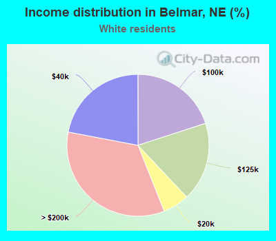 Income distribution in Belmar, NE (%)
