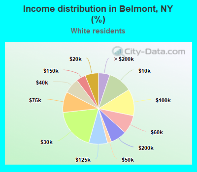 Income distribution in Belmont, NY (%)