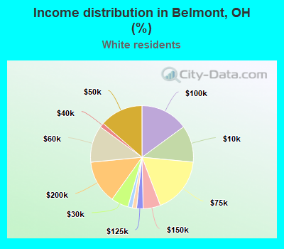 Income distribution in Belmont, OH (%)