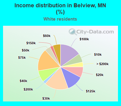 Income distribution in Belview, MN (%)
