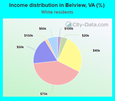 Income distribution in Belview, VA (%)