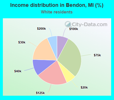 Income distribution in Bendon, MI (%)