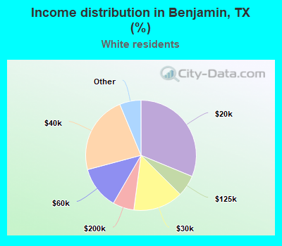 Income distribution in Benjamin, TX (%)