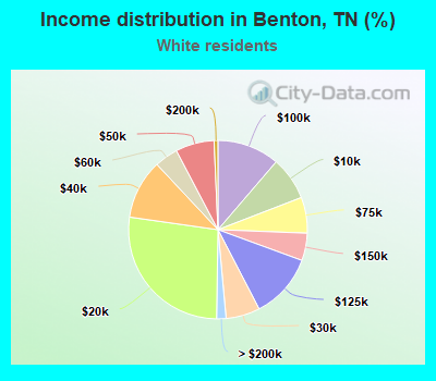 Income distribution in Benton, TN (%)