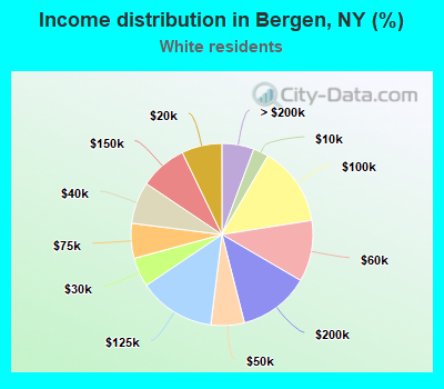 Income distribution in Bergen, NY (%)