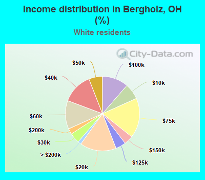 Income distribution in Bergholz, OH (%)