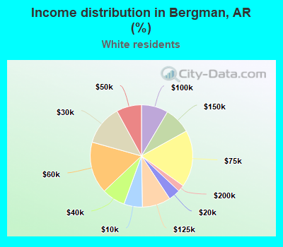 Income distribution in Bergman, AR (%)