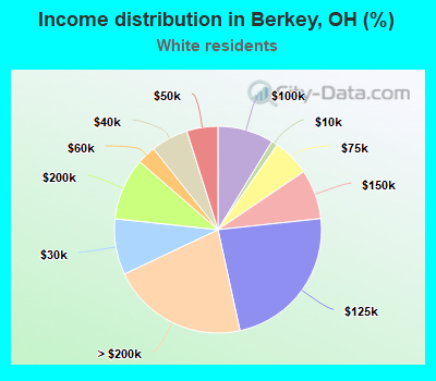 Income distribution in Berkey, OH (%)