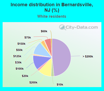 Income distribution in Bernardsville, NJ (%)