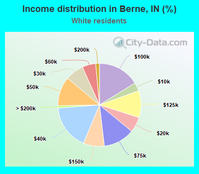 Income distribution in Berne, IN (%)