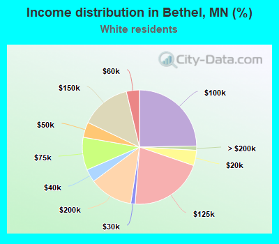 Income distribution in Bethel, MN (%)