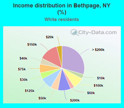 Income distribution in Bethpage, NY (%)