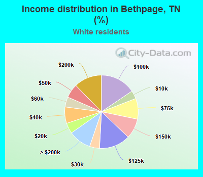 Income distribution in Bethpage, TN (%)