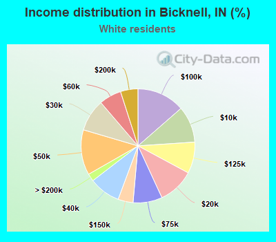 Income distribution in Bicknell, IN (%)