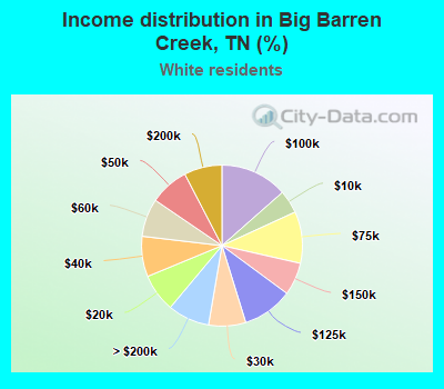 Income distribution in Big Barren Creek, TN (%)