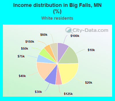 Income distribution in Big Falls, MN (%)