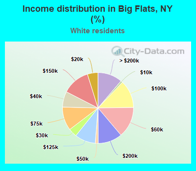 Income distribution in Big Flats, NY (%)