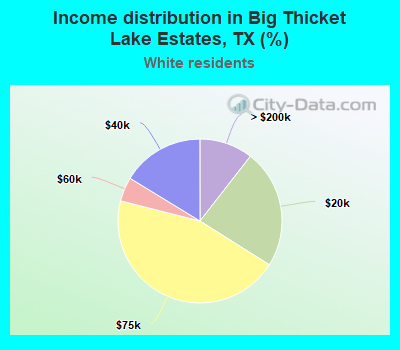 Income distribution in Big Thicket Lake Estates, TX (%)