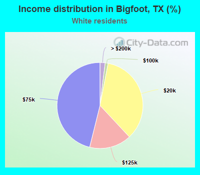 Income distribution in Bigfoot, TX (%)