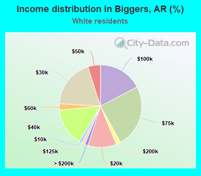 Income distribution in Biggers, AR (%)