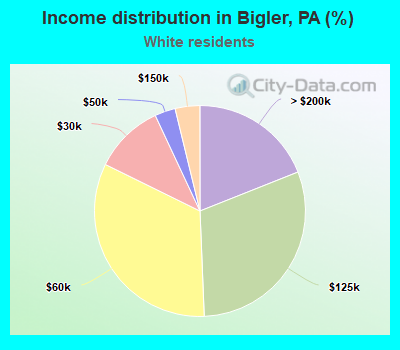 Income distribution in Bigler, PA (%)