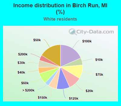 Income distribution in Birch Run, MI (%)